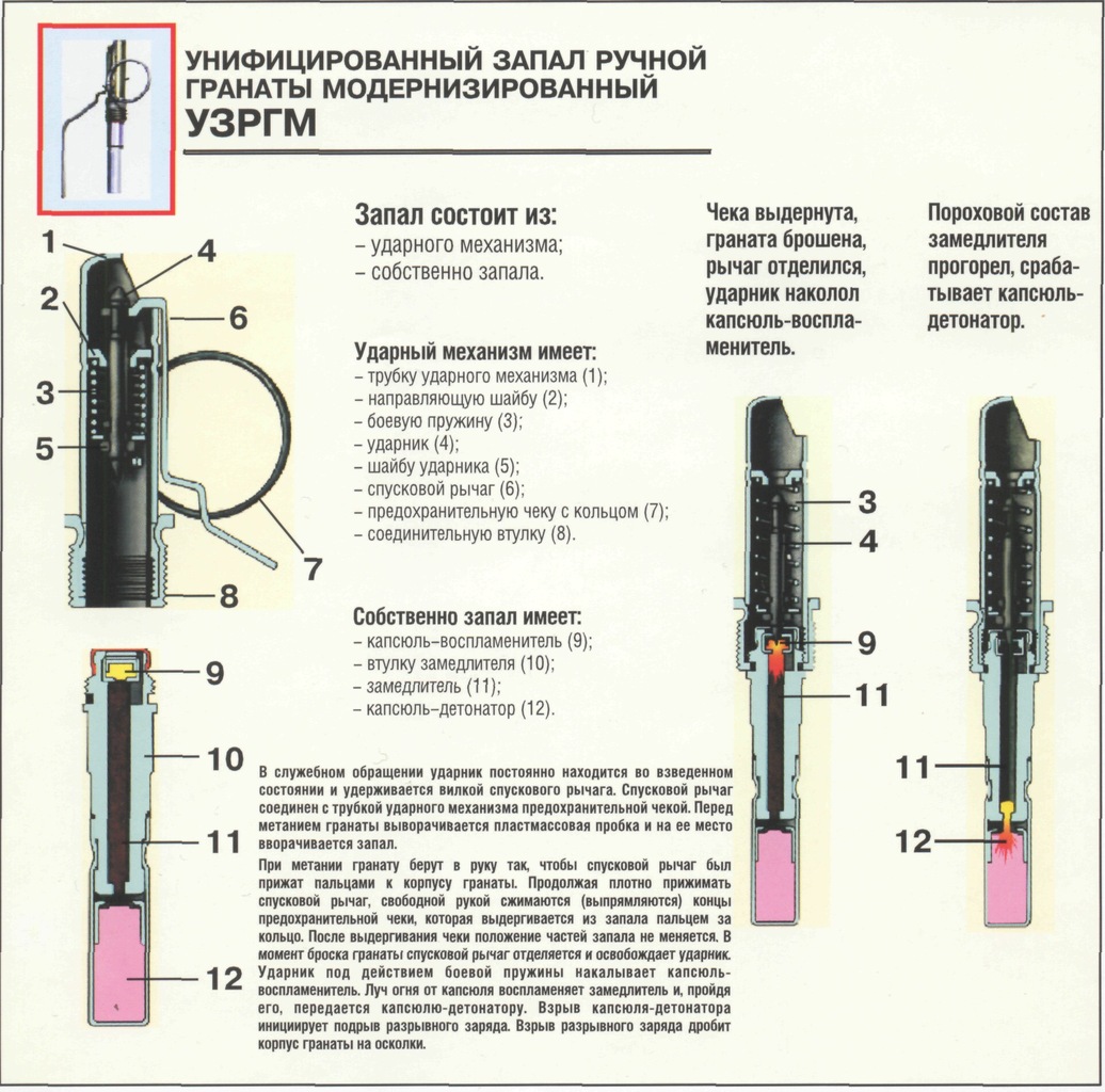 Тис псп гранат схема